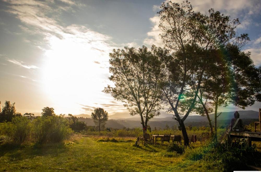 Forest Harmony นิสนา ภายนอก รูปภาพ